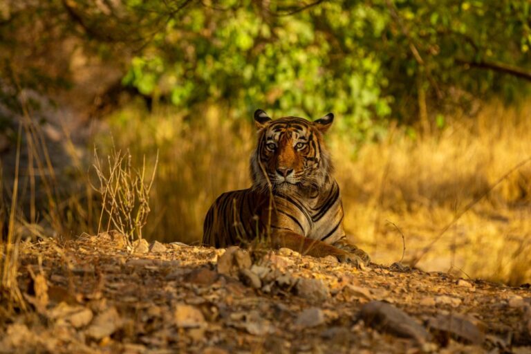 Discover the Natural Wonders of the World with the Best Travel Agency in Lahore